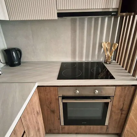 Fluvius - Planet Nis, Free Parking 公寓 Ni